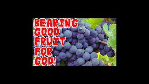 How To Bear Good Fruit! John Chapter 15:1-8 Explained! 3-26-2021 David Stanton's Sermons!
