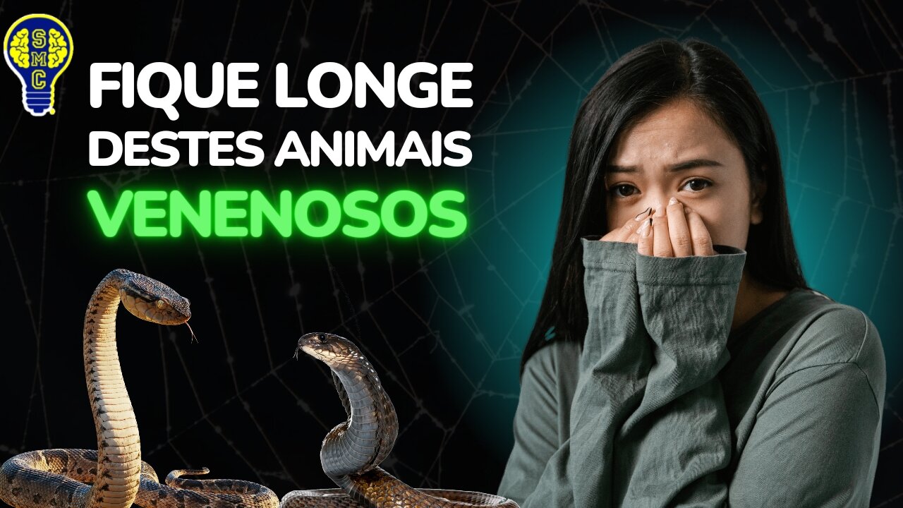 TOP 10 ANIMAIS MAIS VENENOSOS DO MUNDO - SAGAZMENTE CURIOSO