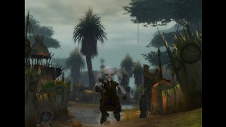 Guild Wars 2 Engineer goes back to questing