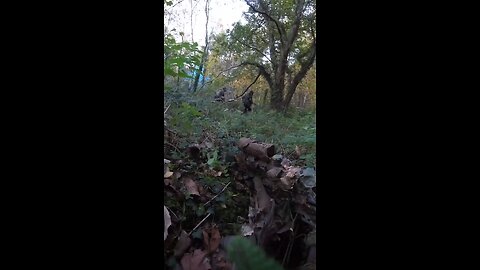 Airsoft sniper funny moments (TRY NOT TO LAUGH)