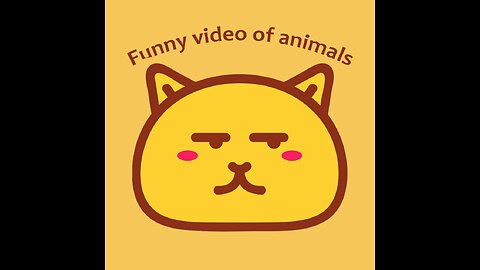 Funny cats