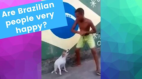 BRAZILIAN MEME 🐶🇧🇷