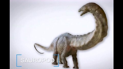 Behemoth - a Sauropod Dinosaur