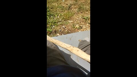 walking stick project episode 2