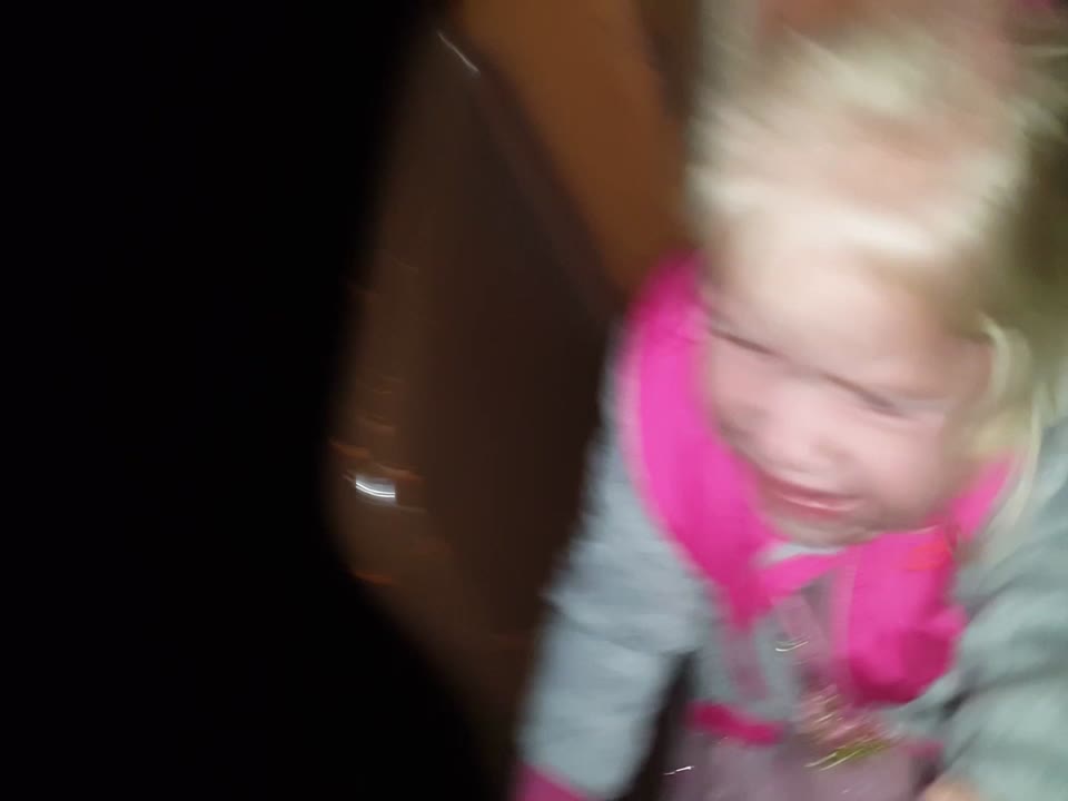 Little Girl Reacts to First Roller Coaster Ride