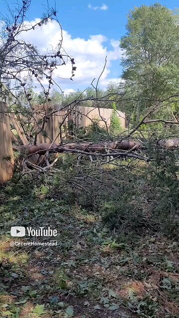 Helene Hits Homestead