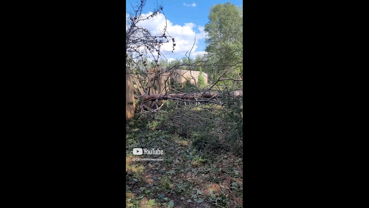 Helene Hits Homestead