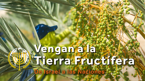¡Vengan a la tierra fructífera! | Dra. Dominiquae Bierman