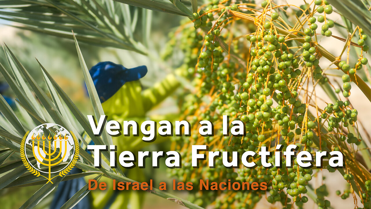 ¡Vengan a la tierra fructífera! | Dra. Dominiquae Bierman