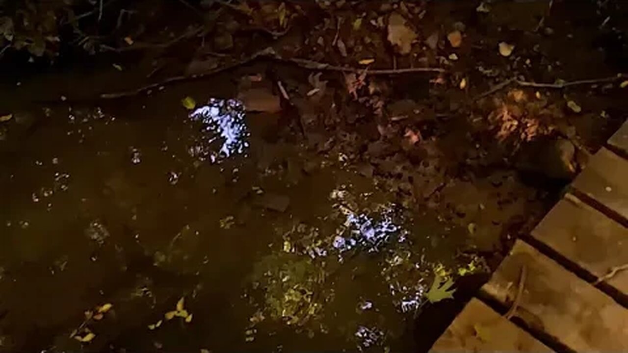 Sundayscape Clips : Myeerah Nature Preserve Pt 2