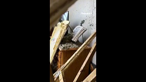 The Bible survived Hurricane Helene