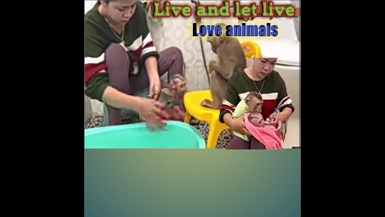 Love and let live