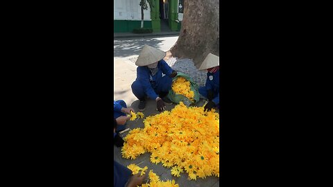 Workmen Arrange Flower Design In Family Circle