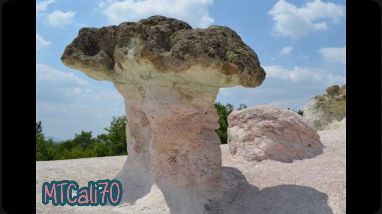 Petrified, Giant, Mushrooms