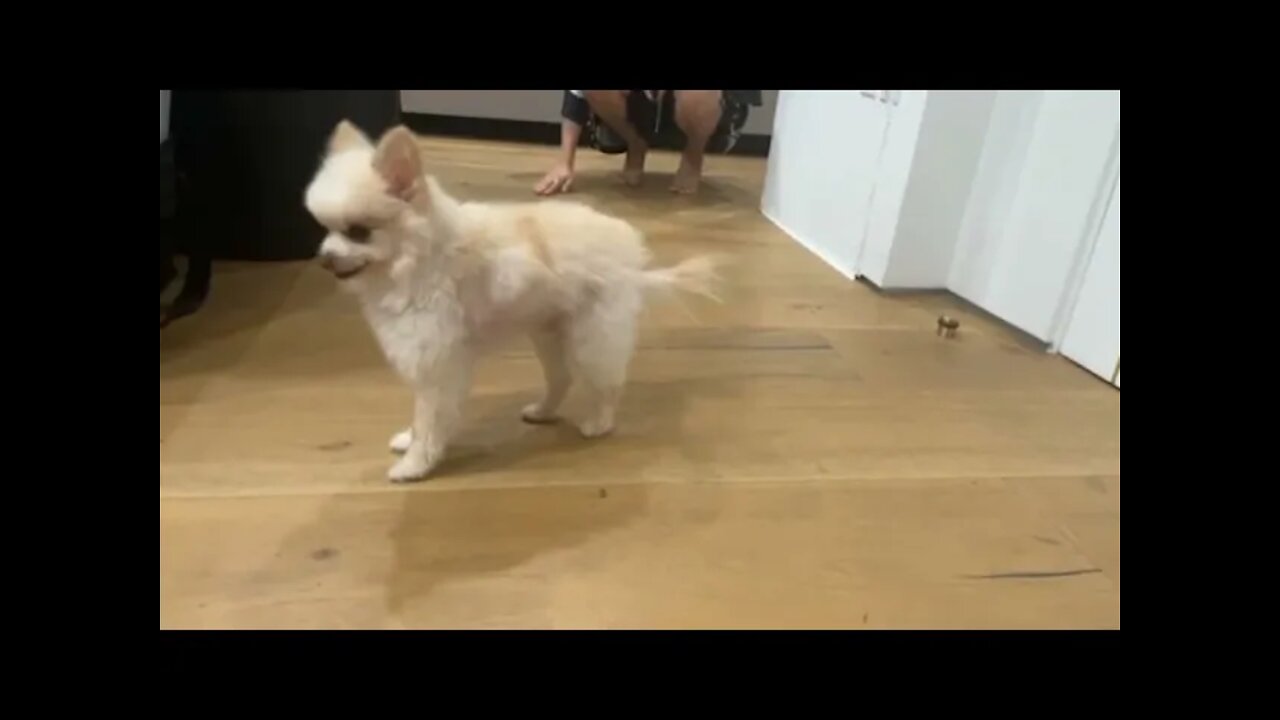 Nabi Ignores Toast
