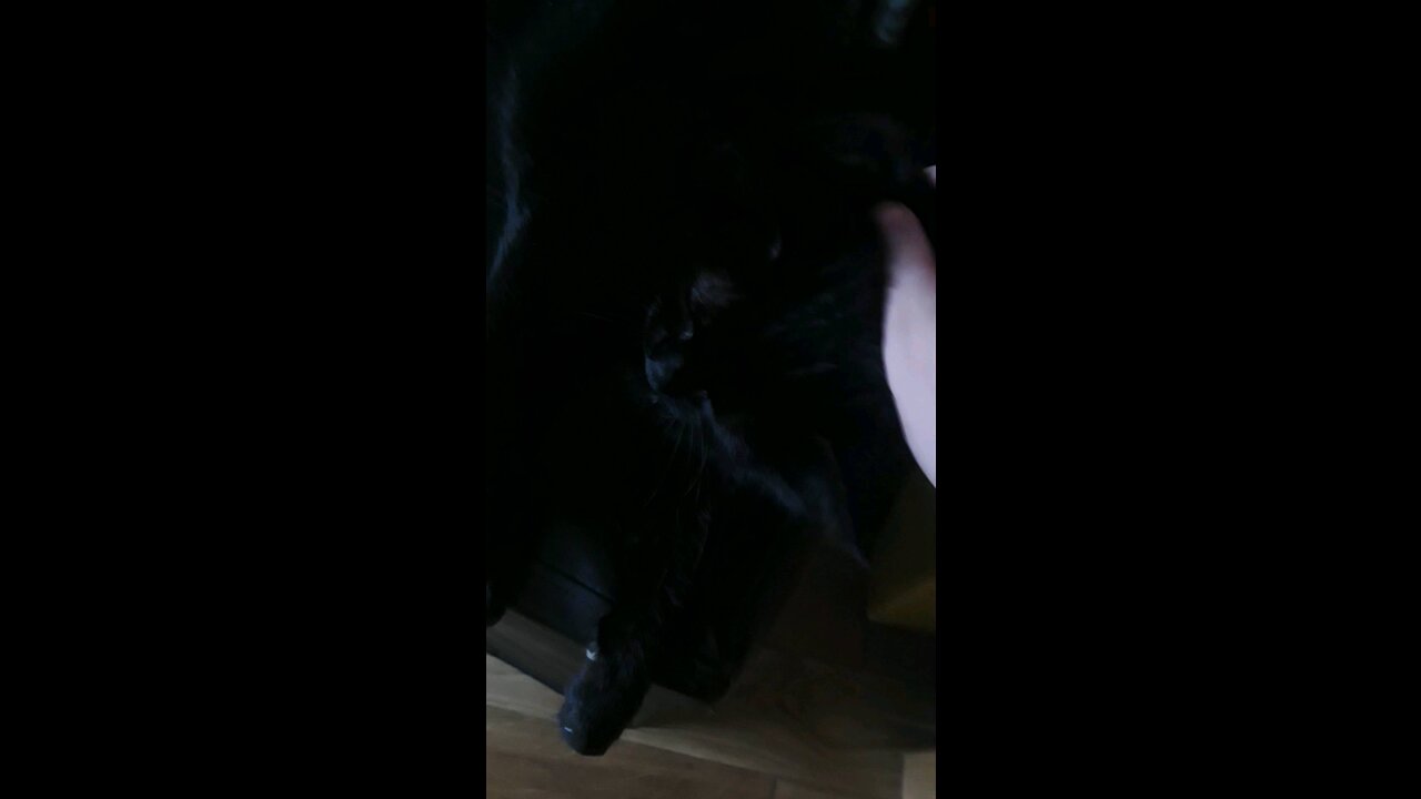 My chonker reddick