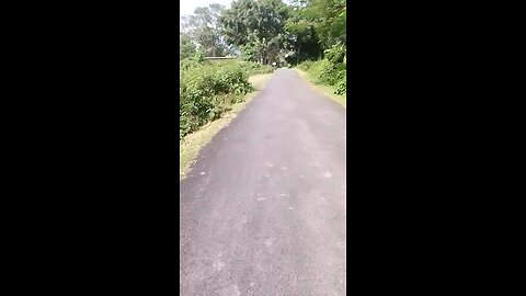 village road with very good nature #nature #village #viral #living #trending