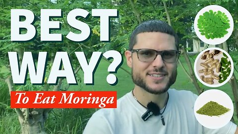 Experience The Best Way To Eat Fresh Moringa Greens From The Tree | U-Pick Plant City | Limited Time