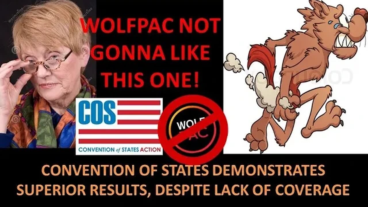 Interview with Silver Wolf from Convention of States