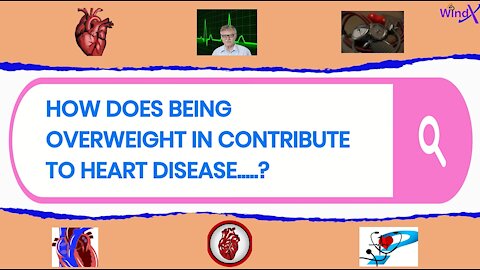 HOW DOES BEING OVERWEIGHT IN CONTRIBUTE TO HEART DISEASE | PLANET WELLNESS |