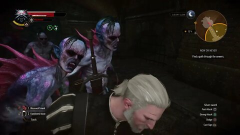 The Witcher 3: Wild Hunt Part 108-I Visit Dead People