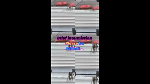 Intermission