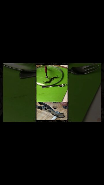 Move to Hawaii they said, it's paradise they said... #shorts