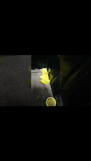 Three little ducklings a couple of days old