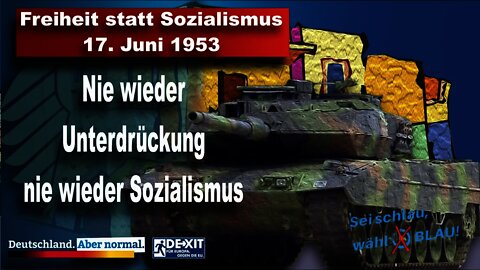 Nie wieder Unterdrückung nie wieder Sozialismus, AfD