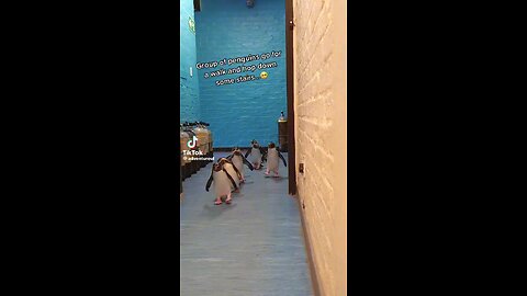 Group of people goes for a walk