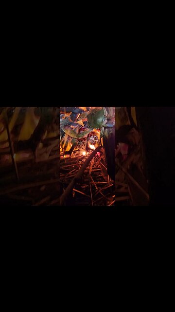 Beach fire blue crab