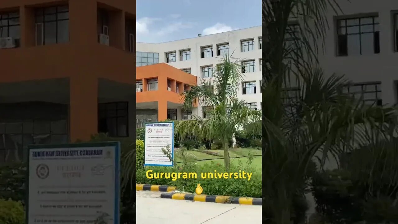 Gurugram university #viral #shorts #gurugram #youtube #youtubeshorts