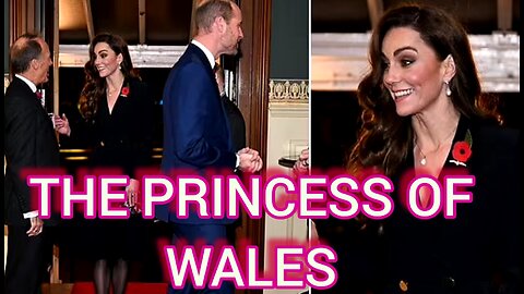 The Princess of Wales Attends The Festival of Remembrance