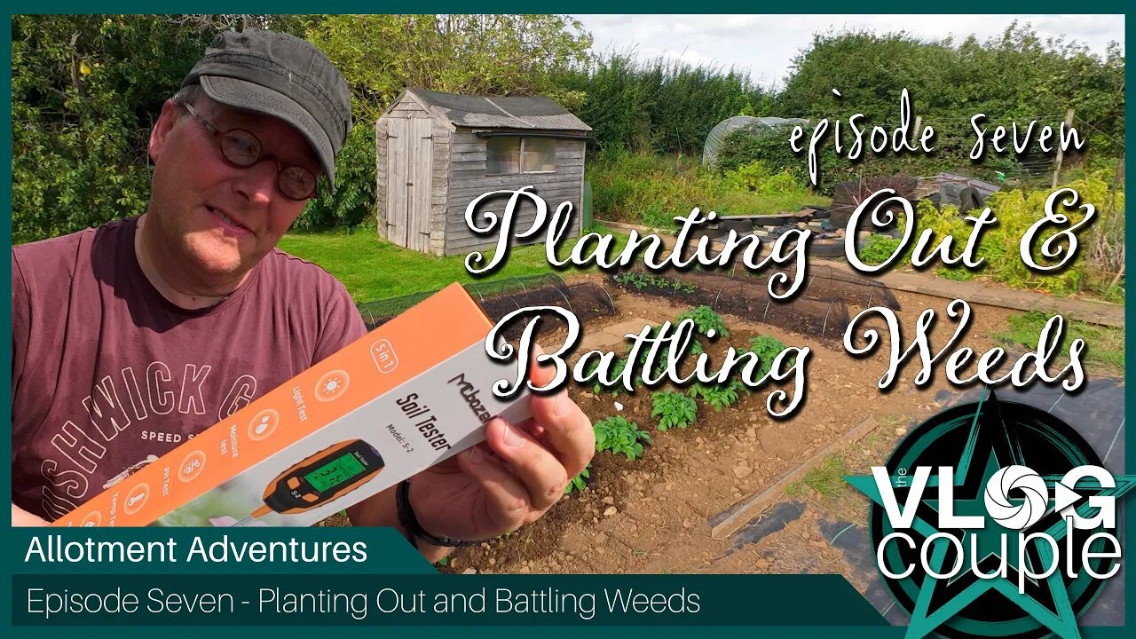 Allotment Adventures Episode 7 - Planting out and battling the weeds