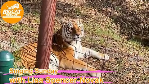It’s Singing Sunday with Carole Baskin & Lisa Spencer-Novak @BigCatRescue 12 25 2022