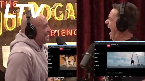 The REAL Reason Bud Ad Execs Got Suspended
