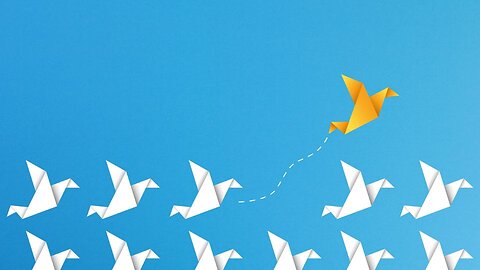 Confuse considerazioni a braccio - 25 gennaio 2024