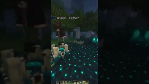 What should we build next? Minecraft 1.19 Java & Bedrock 24/7 Public SMP Server Art Shaders MC Mods