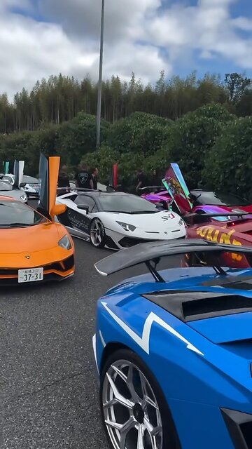 The amazing deluxe sports car is a stunning sight 😍