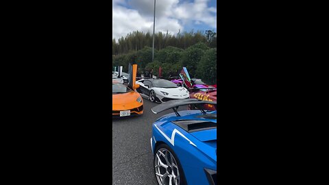The amazing deluxe sports car is a stunning sight 😍