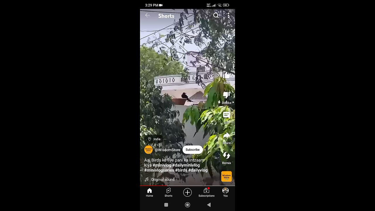 ajj birds ke liye pani ka intzam kiya
