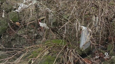 What if your backyard was filled with poo, but no one agreed on how to clean it up?