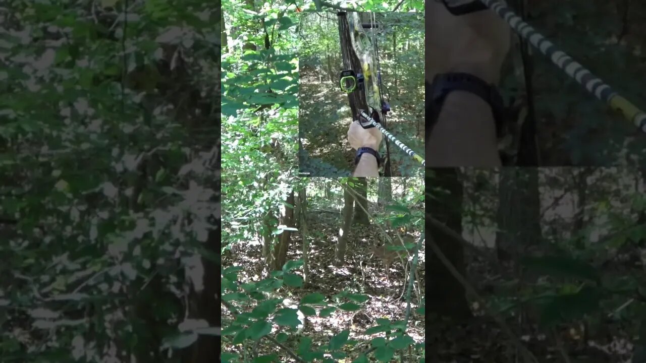 They never know you’re there! Pure Whitetail Scent Eliminator. Purewhitetail.com