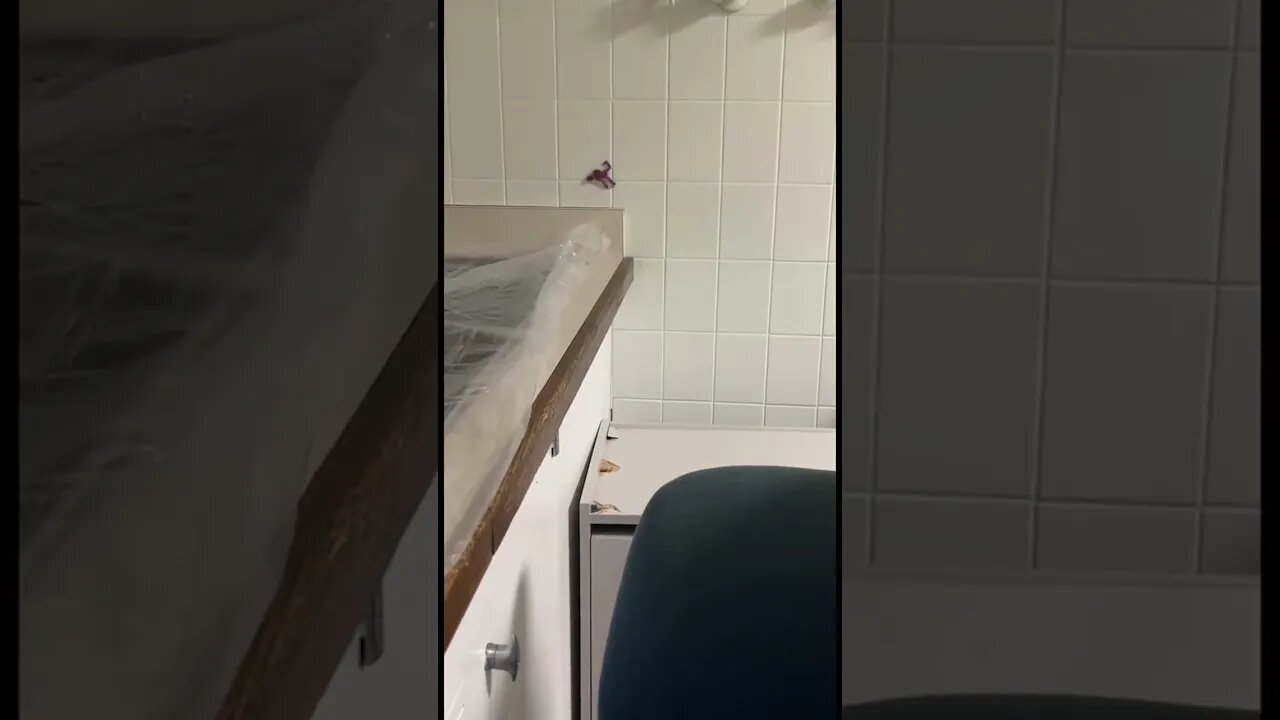 Video By tayl0rgrant #Shorts