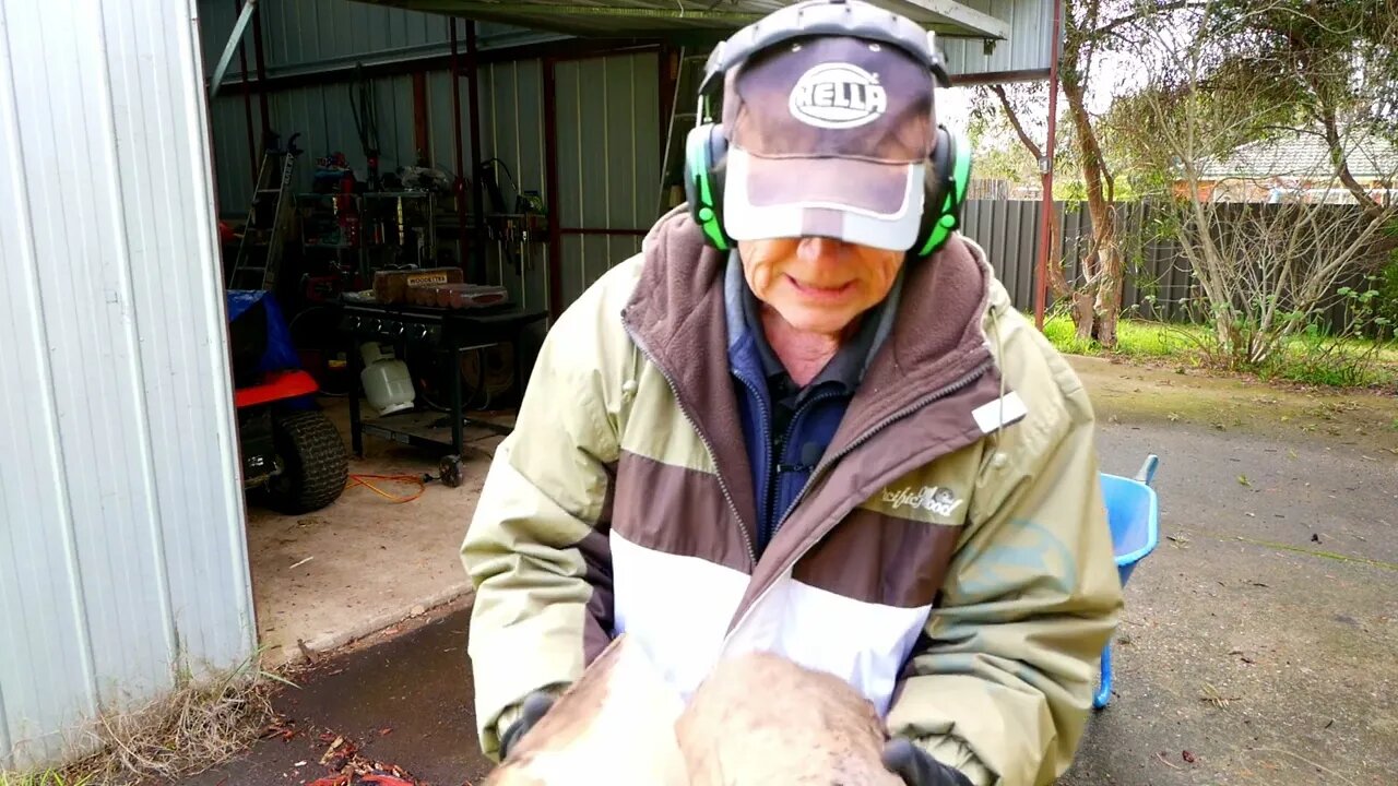 More chainsaw and wood splitting.