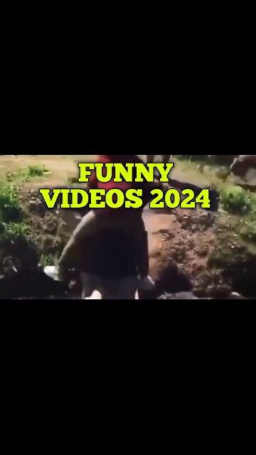 Funny videos 2024😂😂