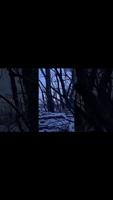 Tropas Ucranianas Se Quejan De La Música Alta Que Sale De Las Trincheras Rusas #rusia #ucraniahoy