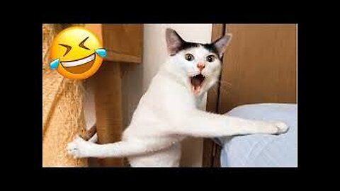 Restart if you laugh Challange #3