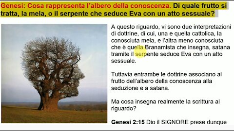 ➡️ Che cos'è l’albero della conoscenza. Branham e la dottrina del serpente che fa sesso e seduce Eva.
