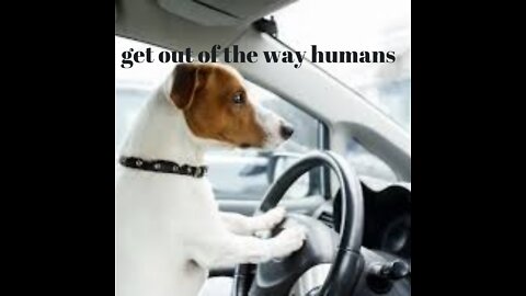 get out of the way humans